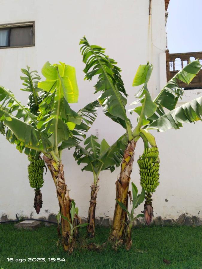 2 Camere Splendida Casa Vacanze In Tenerife Del Sur Casa Trilly Арона Экстерьер фото